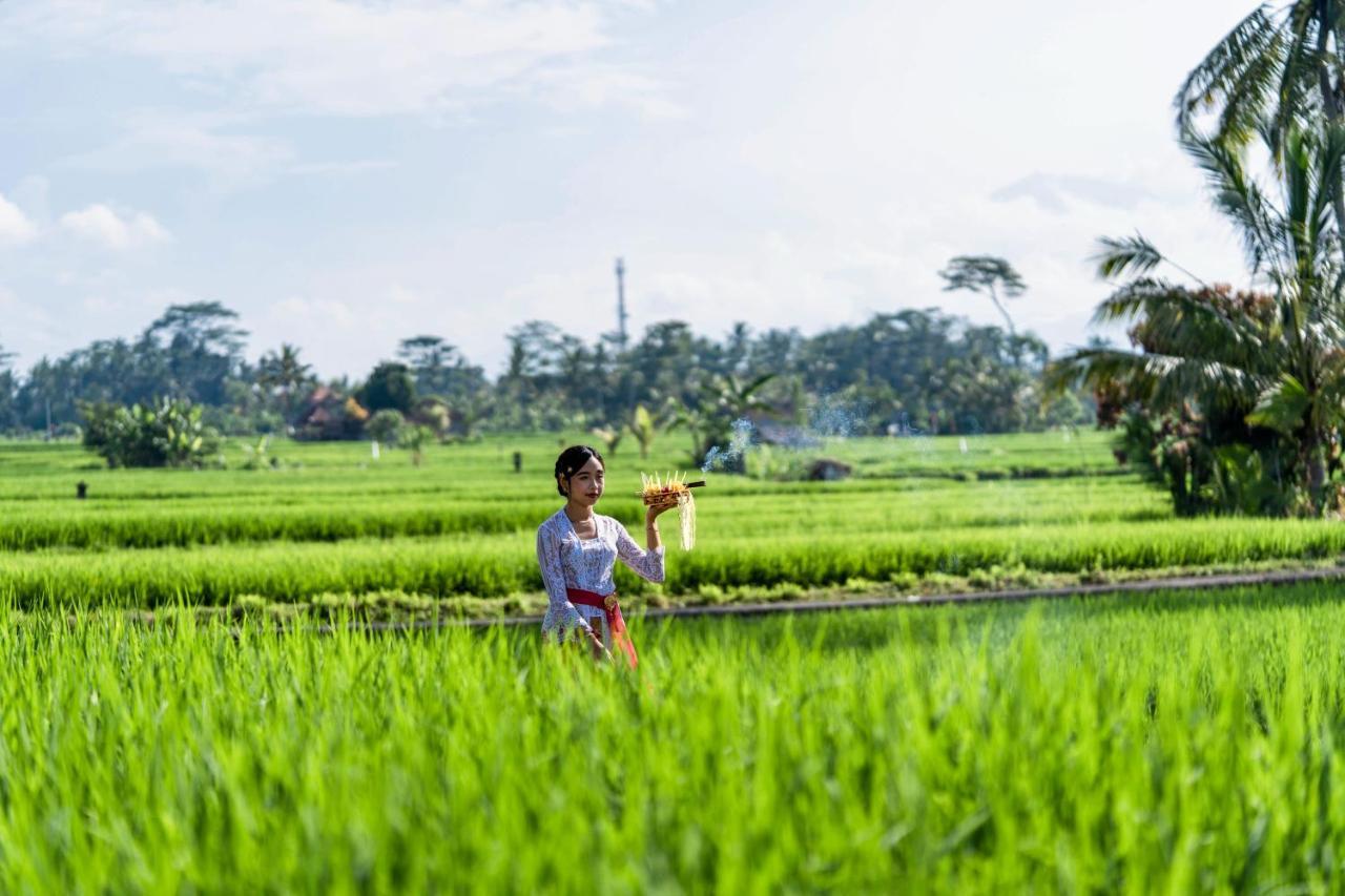 Kubu Bali Baik Villa & Resort - Chse Certified Ubud Eksteriør bilde