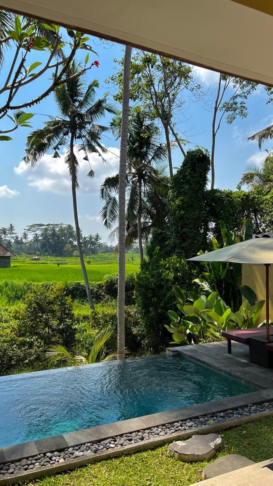 Kubu Bali Baik Villa & Resort - Chse Certified Ubud Eksteriør bilde
