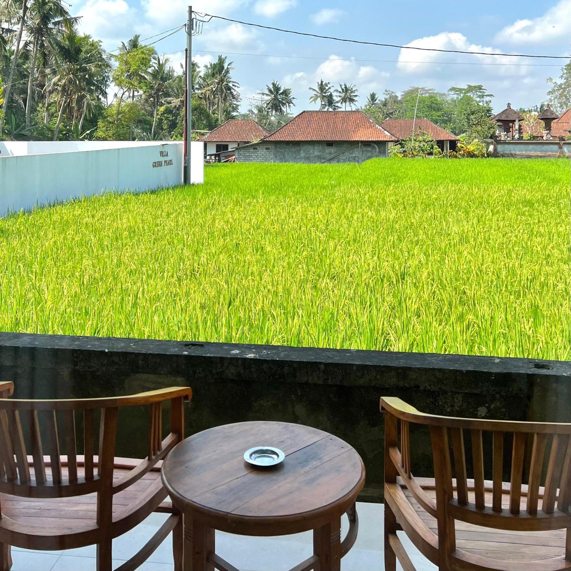 Kubu Bali Baik Villa & Resort - Chse Certified Ubud Eksteriør bilde