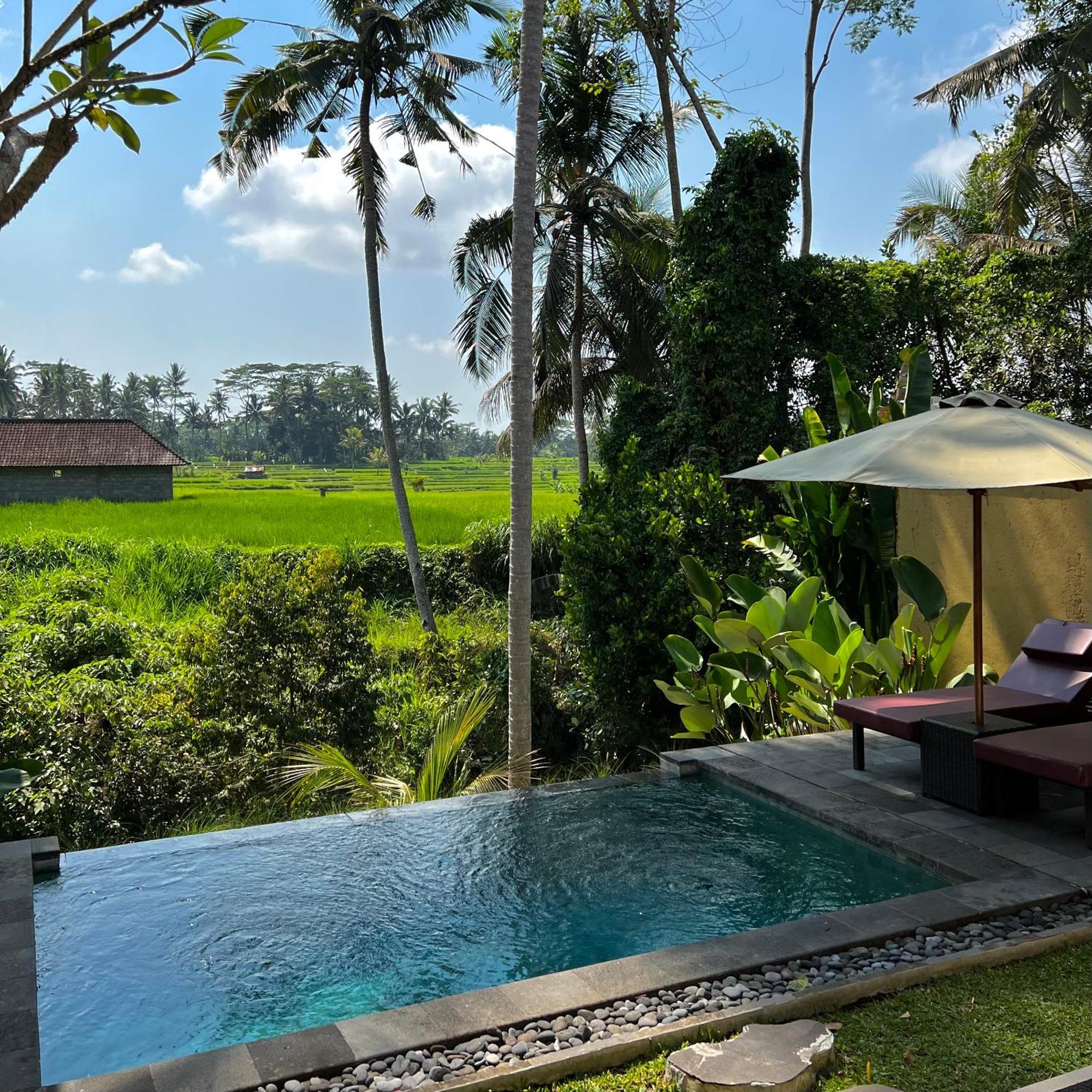 Kubu Bali Baik Villa & Resort - Chse Certified Ubud Eksteriør bilde